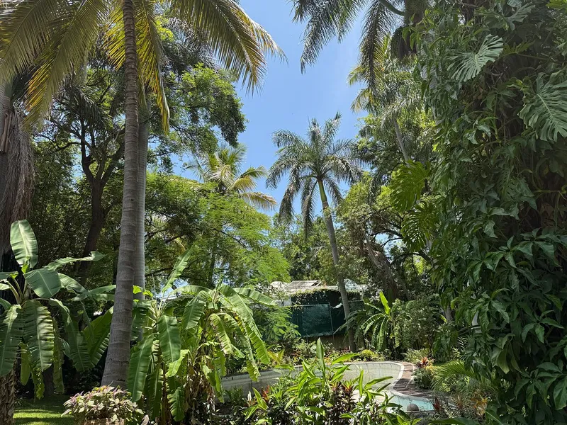 Foto 11