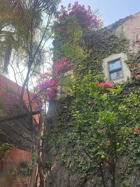Foto 21