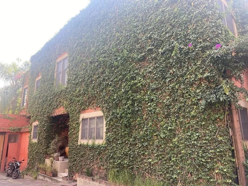 Foto 13
