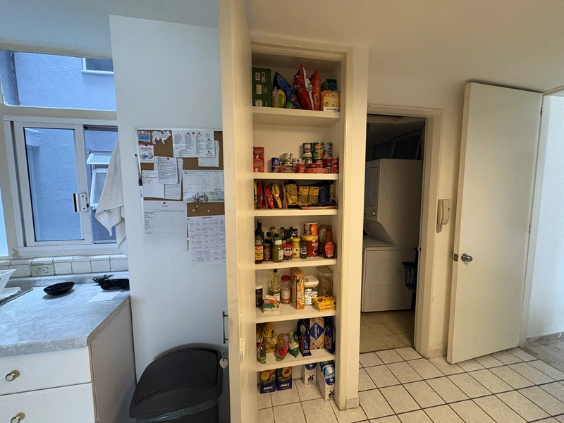 IMG_2931.jpeg