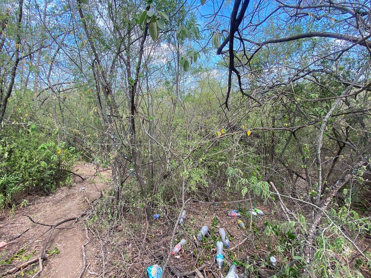 Lote en venta · Sierra Alta 10 Sector, Monterrey, Nuevo León