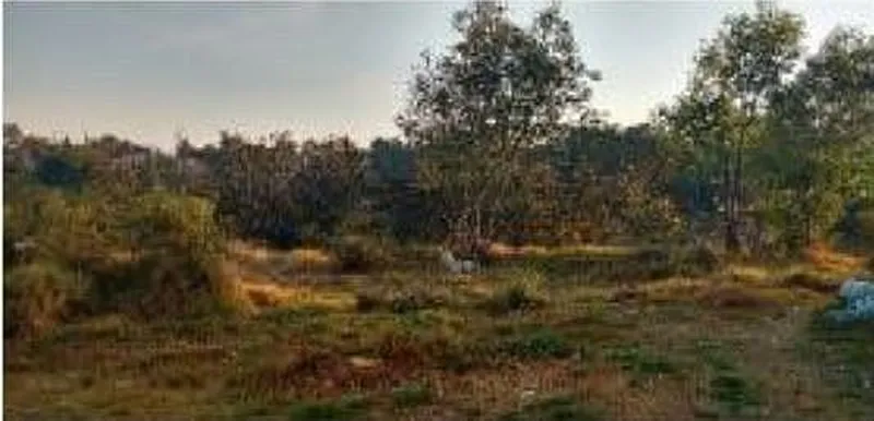 Lote en venta · Olivar Del Conde 1a Sección, Olivar Del Conde, Álvaro Obregón, Ciudad de México