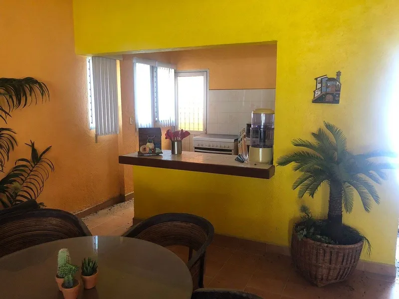Foto 7