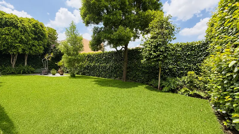 Foto 7