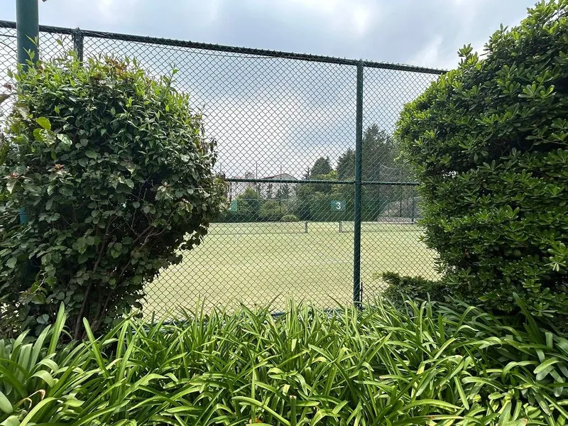 Foto 6