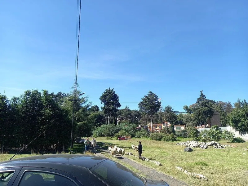Lote en renta · San Pedro Mártir, Tlalpan, Ciudad de México