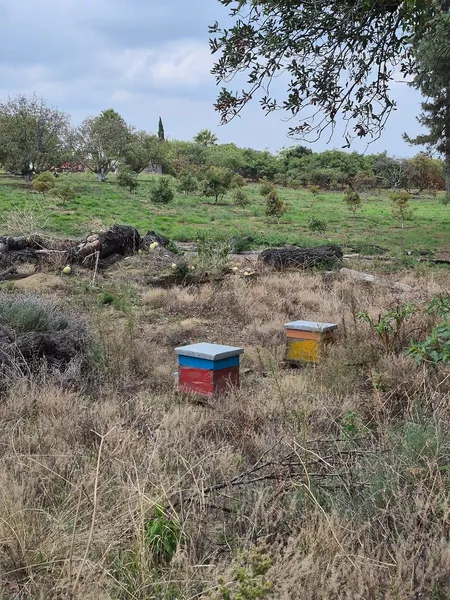 Foto 14