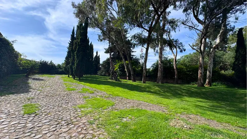 Foto 6