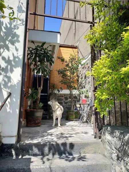 Casa en venta · Ampliación Piloto Adolfo Lopez Mateos, Piloto Adolfo Lopez Mateos, Álvaro Obregón, Ciudad de México