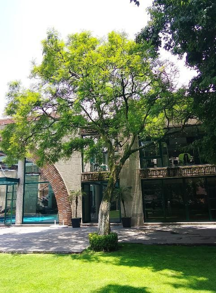 Foto 15