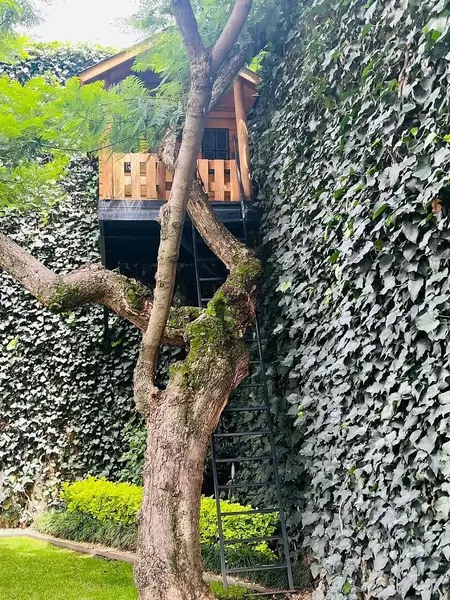 Foto 12