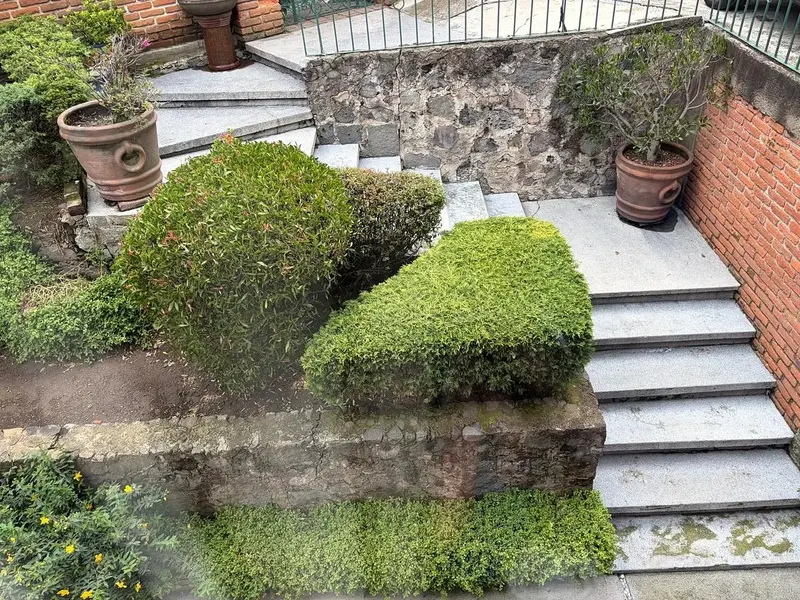 Casa en venta · Contadero, Cuajimalpa de Morelos, Ciudad de México
