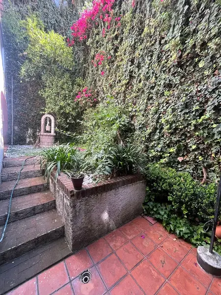 Foto 15