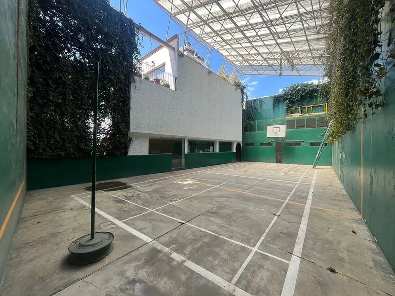 Foto 7