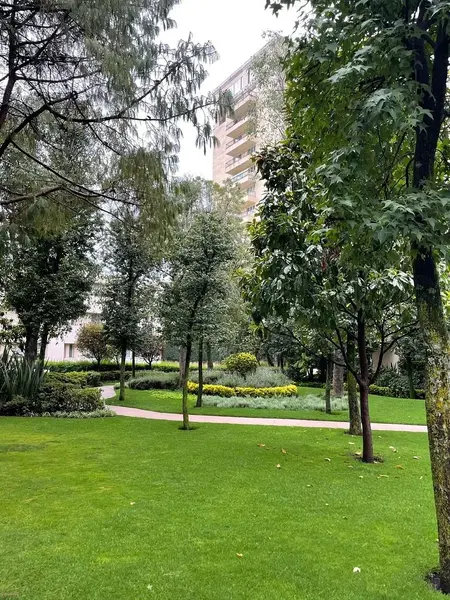 Foto 21