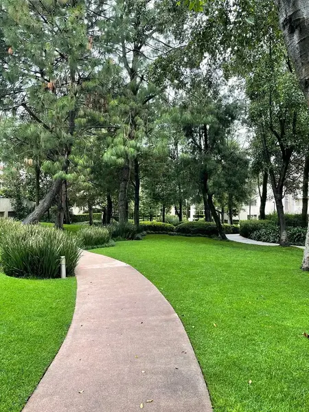 Foto 20