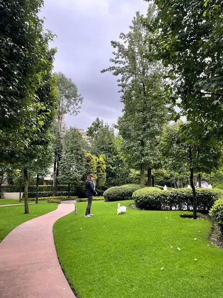 Foto 19