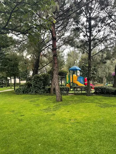 Foto 11