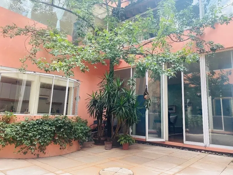 Foto 5