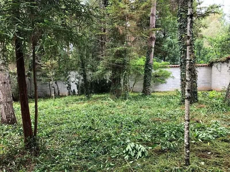 Lote en venta · Real del Monte, Álvaro Obregón, Ciudad de México