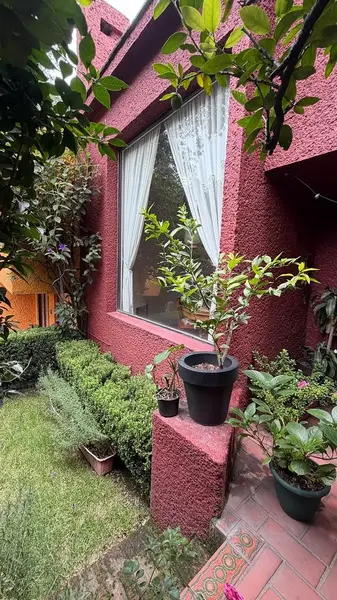 Foto 10