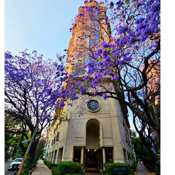 Departamento en renta · Polanco, Miguel Hidalgo, Ciudad de México Departamento en renta · Polanco, Miguel Hidalgo, Ciudad de México