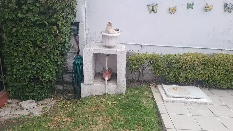 Foto 10