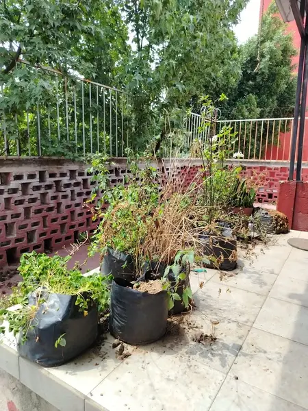 Foto 15