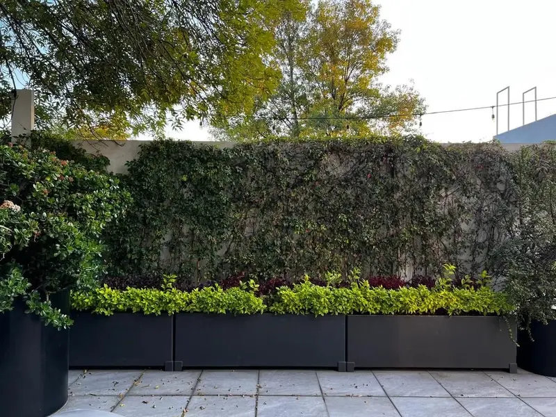 Foto 18