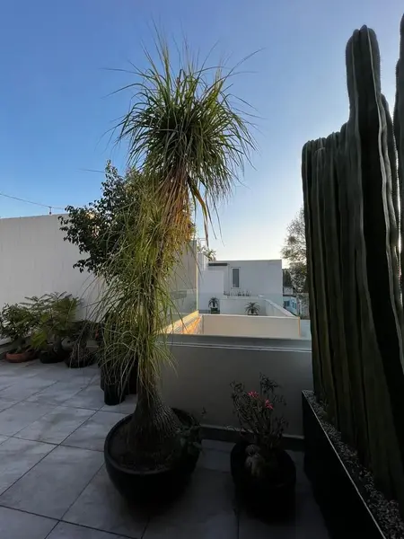 Foto 16