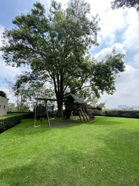Foto 19