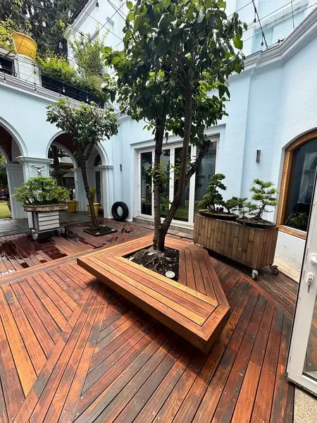 Foto 6