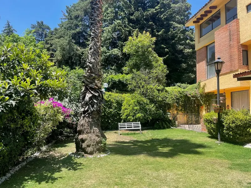 Foto 11