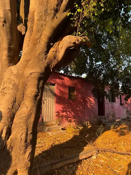 Foto 21