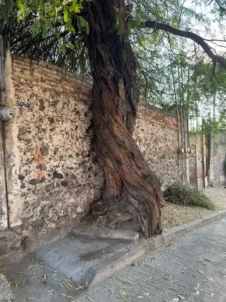 Foto 18