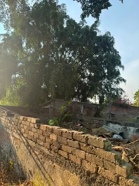 Foto 15