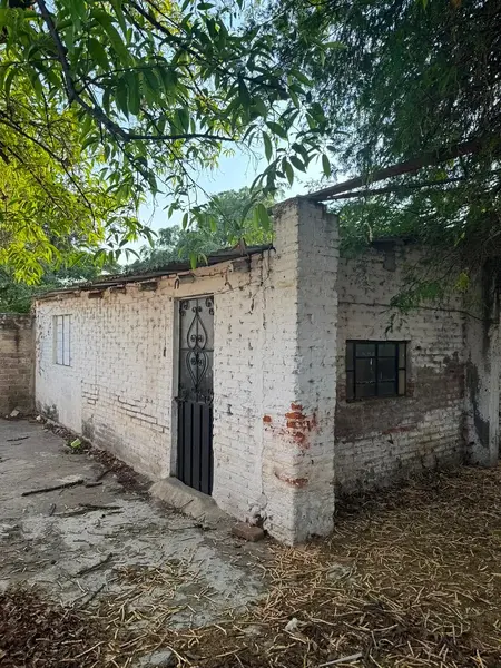 Foto 11