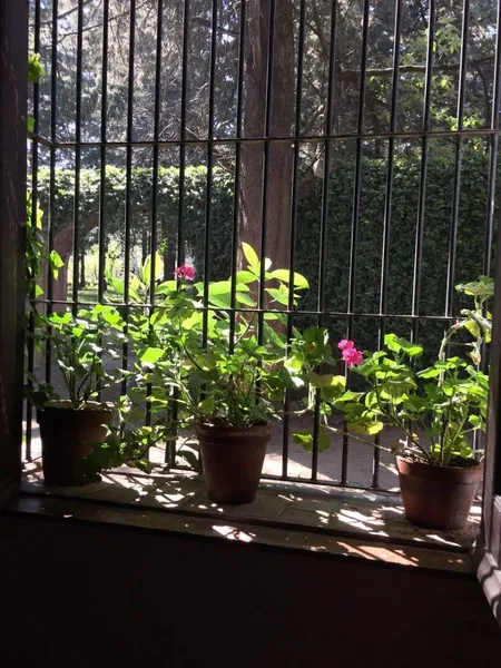 Foto 22