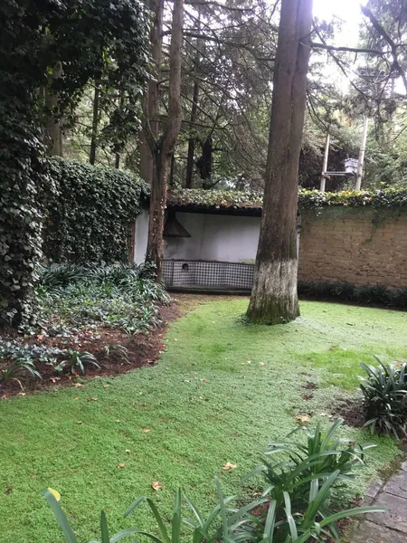 Foto 11