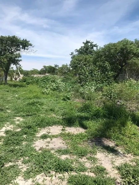 Foto 11