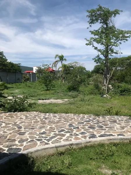 Foto 4
