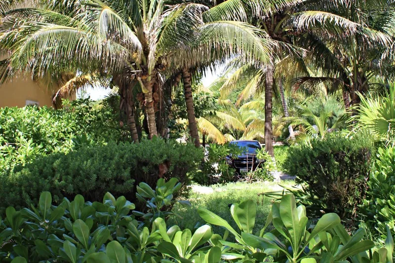 Lote en venta · Puerto Morelos, Quintana Roo