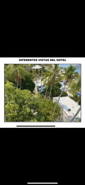 Foto 14