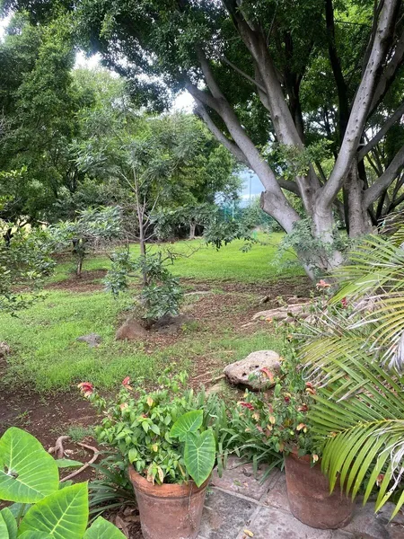 Foto 24
