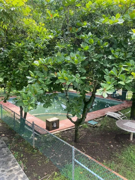 Foto 17
