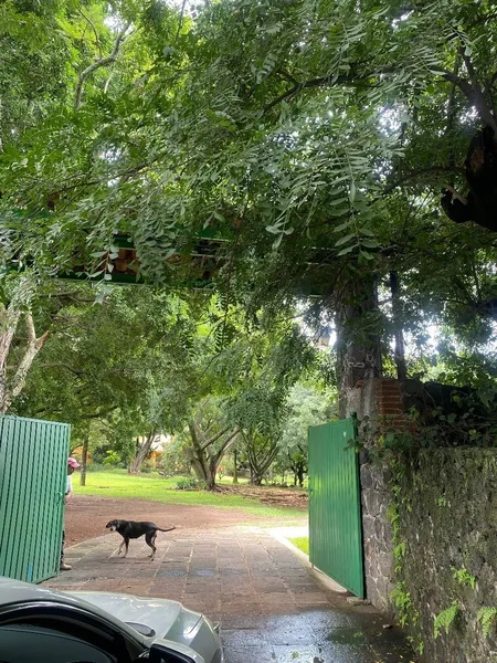 Lote en venta · Huilotepec, Tepoztlán, Morelos