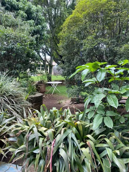 Lote en venta · Huilotepec, Tepoztlán, Morelos