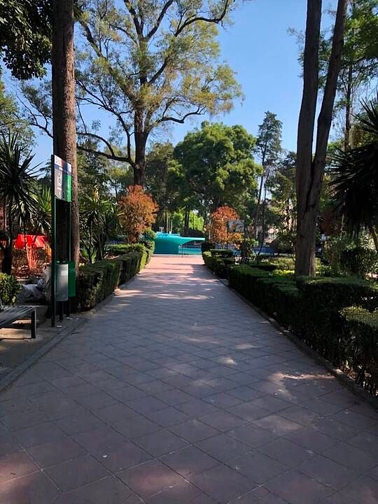 Foto 13