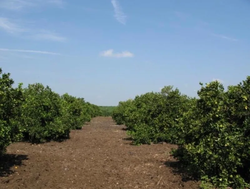 Lote en venta · El Barranquito, Cadereyta Jiménez, Nuevo León