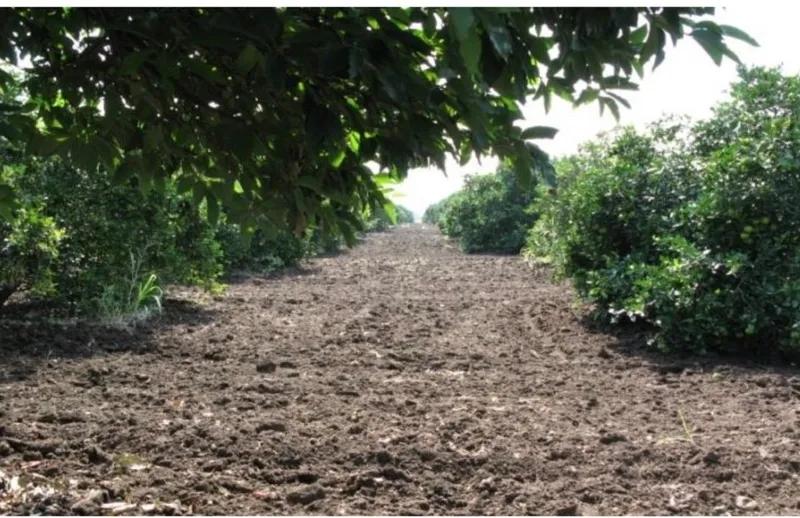 Lote en venta · El Barranquito, Cadereyta Jiménez, Nuevo León
